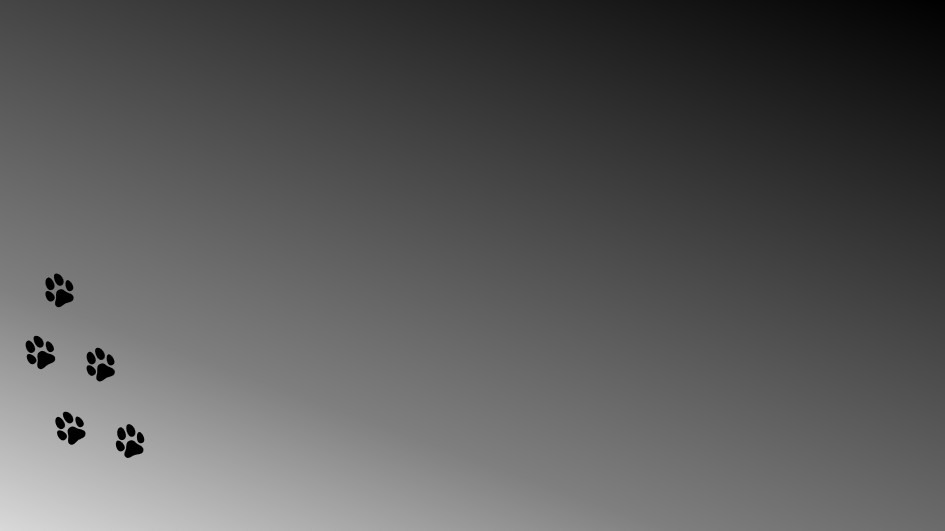 >Satopi design 工房